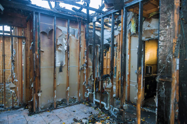 Professional Soot Removal technician working in Bladensburg, MD
